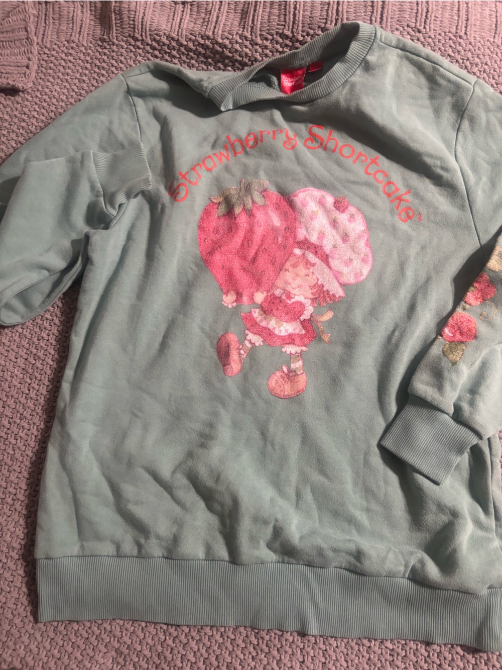 Strawberry Shortcake Mint Green Graphic Sweatshirt Open to offers♥️